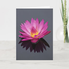 Wasserlilie Geburtstagskarte Karte