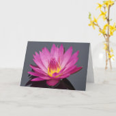 Wasserlilie Geburtstagskarte Karte (Gelbe Blume)