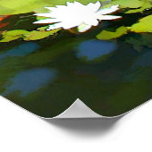Wasserlilie Habitat Poster (Ecke)