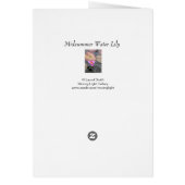 Wasserlilie im Sommer (Hinten)