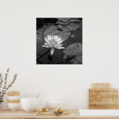 Wasserlilie in Blüte Poster (Küche)