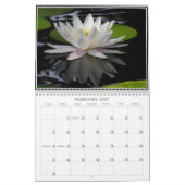 Wasserlilie-Kalender Kalender (Feb 2027)