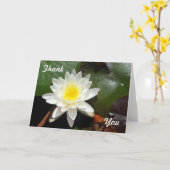 Wasserlilie Karte (Gelbe Blume)