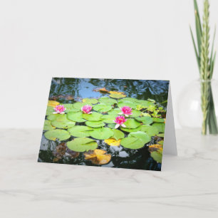 Wasserlilie Karte