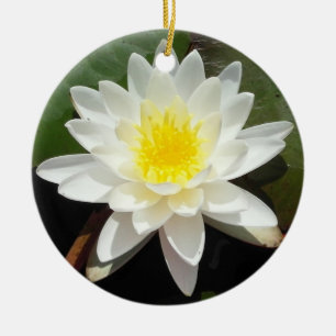 Wasserlilie Keramikornament