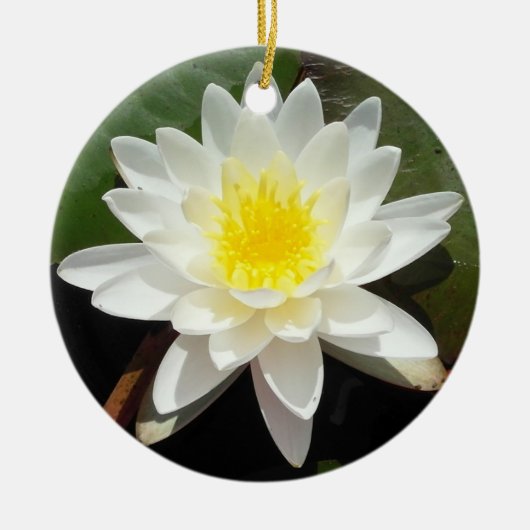 Wasserlilie Keramikornament (Vorne)