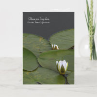 Wasserlilie Knospe mit Lilienpolster Beileid