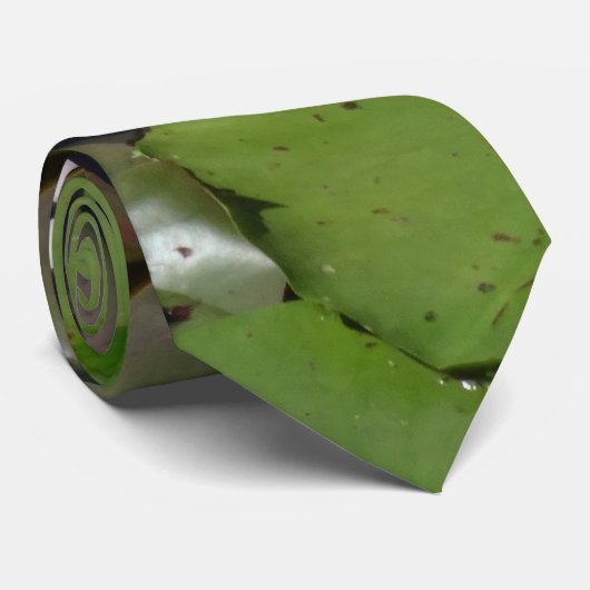 Wasserlilie Krawatte (Gerollt)