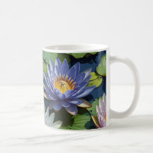 Wasserlilie lebendige Blume
