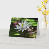Wasserlilie - Leerkarte Karte (Gelbe Blume)