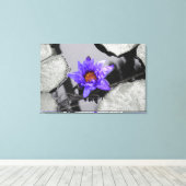 Wasserlilie Leinwanddruck (Insitu (Holzboden))