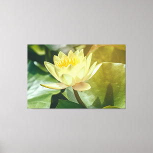 Wasserlilie Leinwanddruck