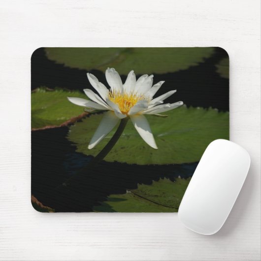 Wasserlilie Lippenstift Mouse Pad Mousepad (Mit Mouse)