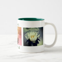 Wasserlilie Lotus Blume Personalisiert
