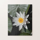 Wasserlilie Lotus Blume Schönes Foto Puzzle (Vertikal)
