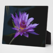 Wasserlilie Lotus Fotoplatte (Seite)