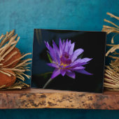 Wasserlilie Lotus Fotoplatte (Seite)