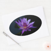 Wasserlilie Lotus Ovaler Aufkleber (Umschlag)