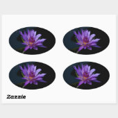 Wasserlilie Lotus Ovaler Aufkleber (Blatt)