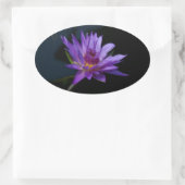Wasserlilie Lotus Ovaler Aufkleber (Tasche)