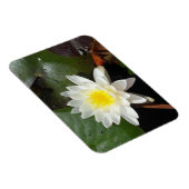 Wasserlilie Magnet (Rechte Seite)