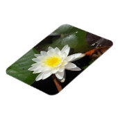 Wasserlilie Magnet (Linke Seite)