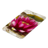 Wasserlilie Magnet (Linke Seite)