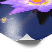 Wasserlilie mit 10" x 8" Foto drucken (Ecke)