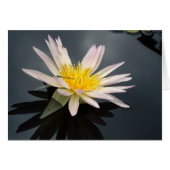 Wasserlilie mit Dragonfly (Vorderseite (Horizontal))