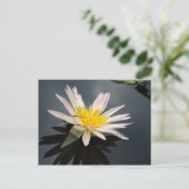 Wasserlilie mit Dragonfly Postkarte (Stehend Vorderseite)