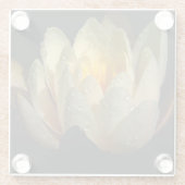 Wasserlilie mit Taubentropfen Glasuntersetzer (Rückseite)