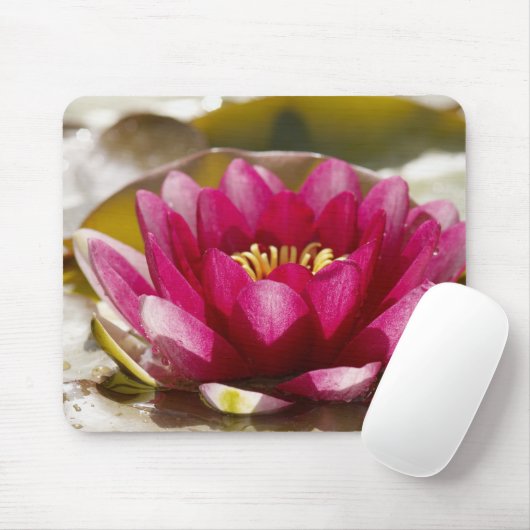 Wasserlilie Mousepad (Mit Mouse)