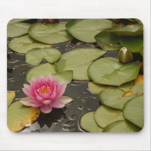 Wasserlilie Mousepad