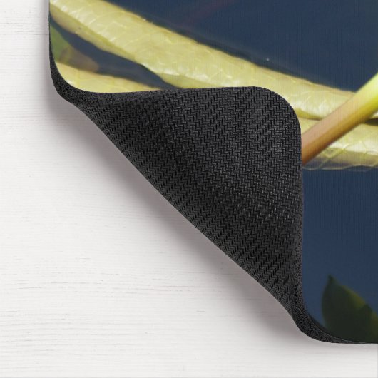 Wasserlilie Mousepad (Ecke)