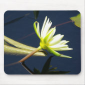 Wasserlilie Mousepad (Vorne)