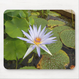 Wasserlilie Muse Mat Mousepad