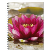 Wasserlilie Notizblock (Vorderseite)