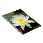 Wasserlilie Notizblock (Rechte Seite)