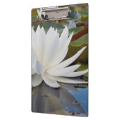 Wasserlilie (Nymphaea Odorata) auf Caddo Klemmbrett (Links)