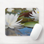 Wasserlilie (Nymphaea Odorata) auf Caddo Mousepad (Mit Mouse)