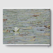 Wasserlilie Pond Blume I Gästebuch (Rückseite)
