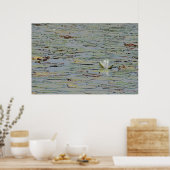 Wasserlilie Pond Blume I Poster (Küche)