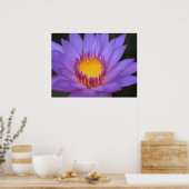 Wasserlilie Poster (Küche)