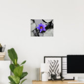 Wasserlilie Poster (Heimbüro)