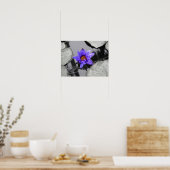Wasserlilie Poster (Küche)