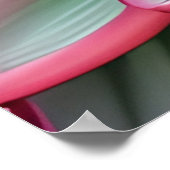 Wasserlilie Poster (Ecke)