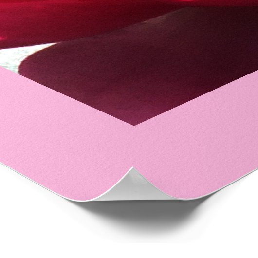 Wasserlilie Poster (Ecke)