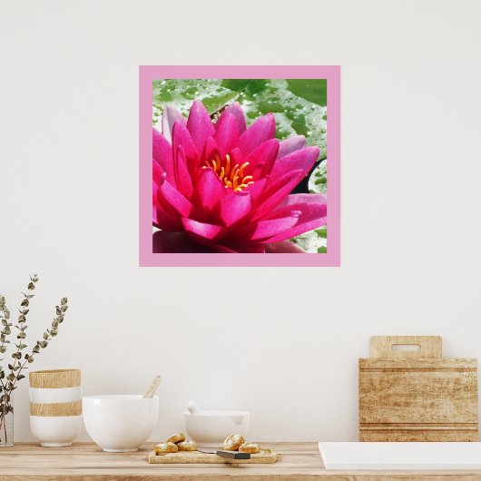 Wasserlilie Poster (Küche)