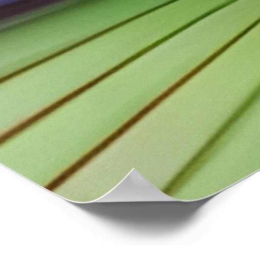 Wasserlilie Poster (Ecke)