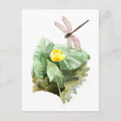 Wasserlilie Postkarte (Vorderseite)